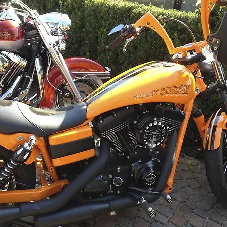 Regia Oda ve Kahvaltı 3*